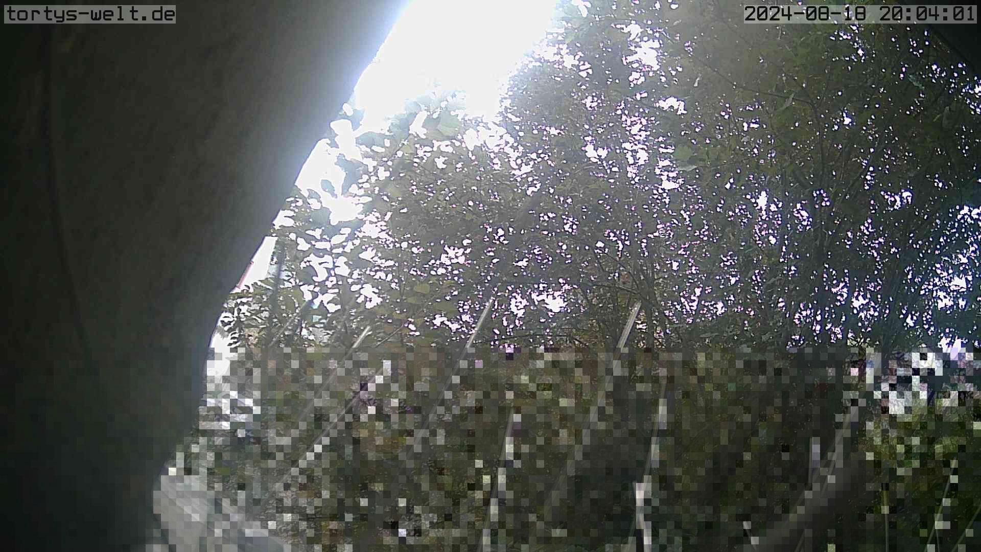 Traffic Cam Lorchhausen › North-West