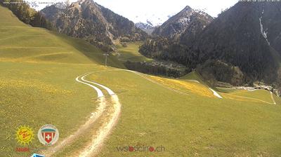 Blenio forest webcam
