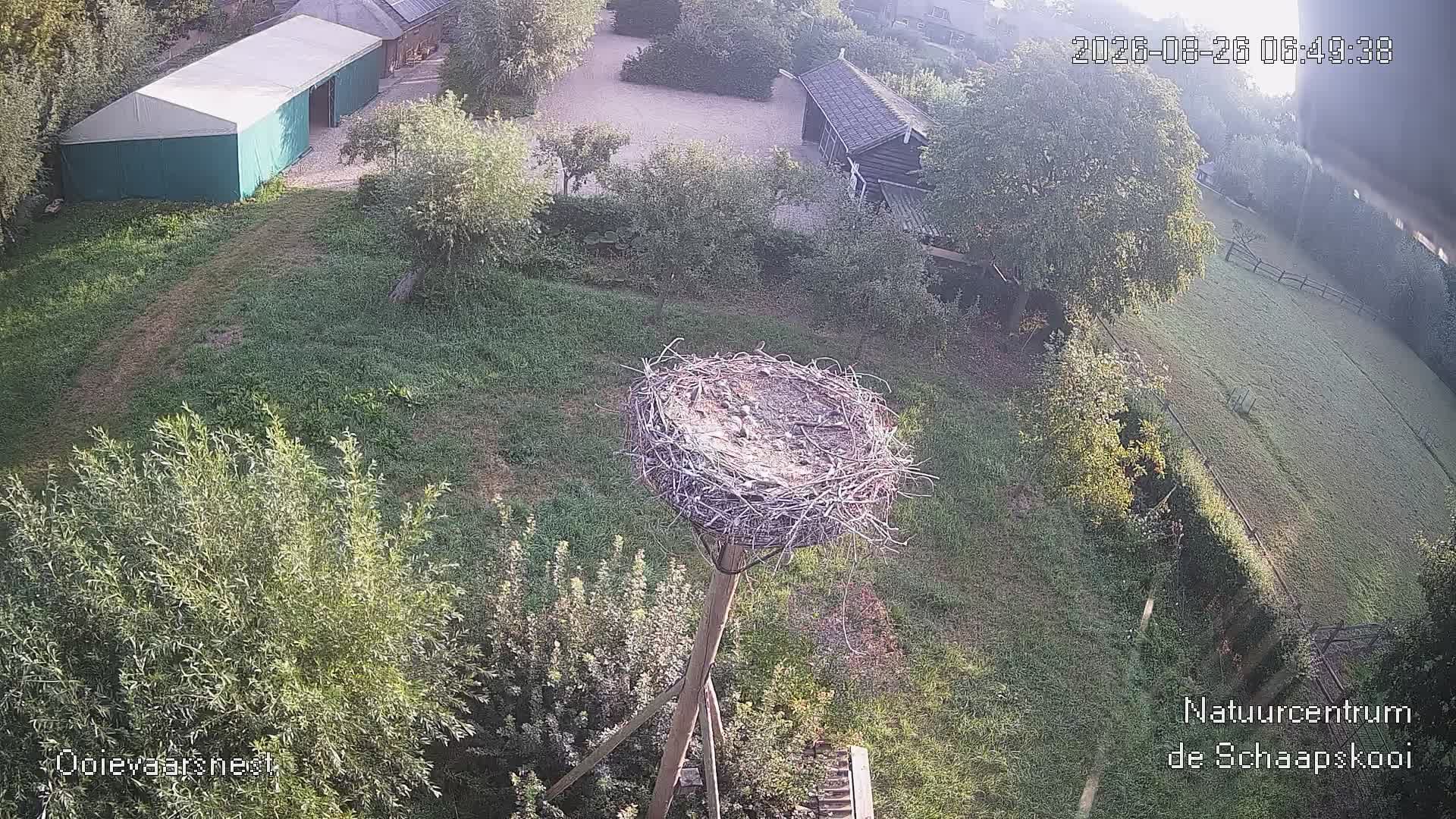 Traffic Cam Vijfheerenlanden: Vogelwacht