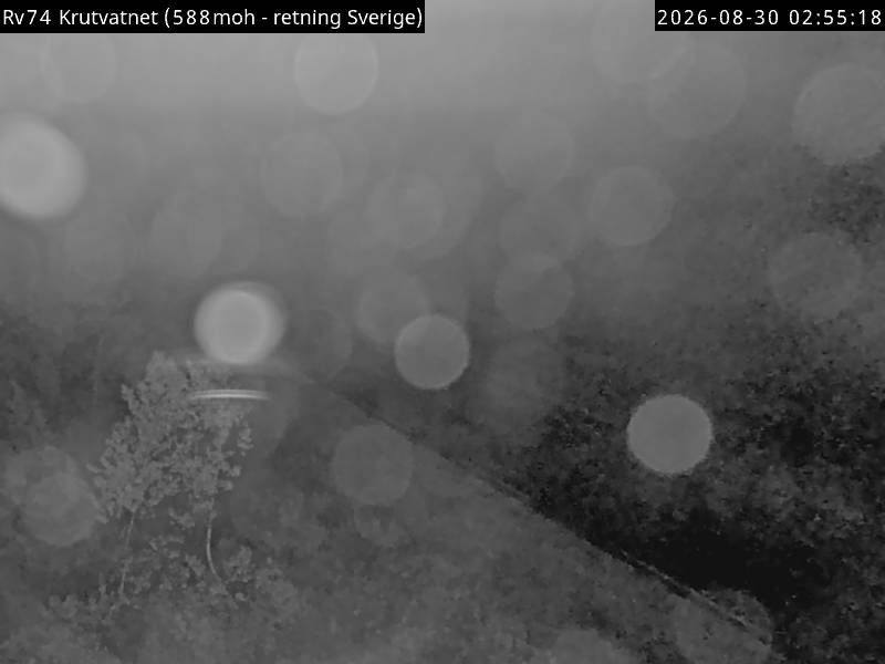 Traffic Cam Hattfjelldal: R73 Krutvatnet (Sverige)