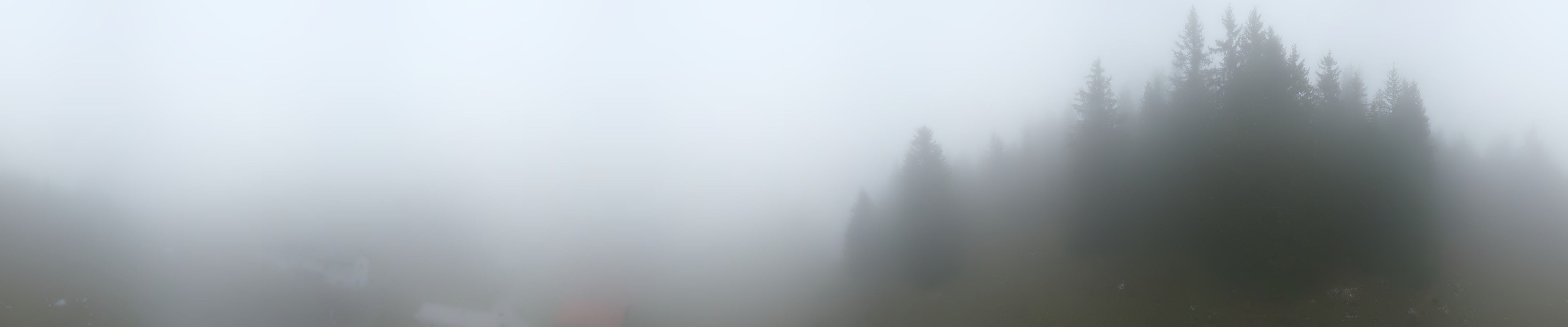 Flims: Bargis