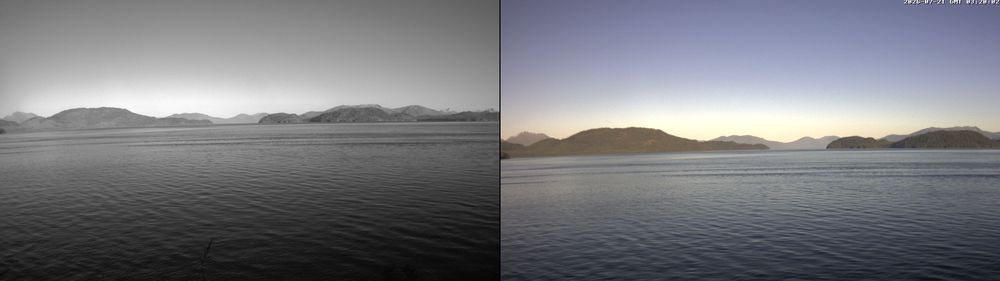 Wrangell during daytime