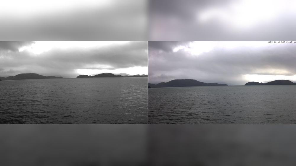 City and Borough of Wrangell during daytime City and Borough of Wrangell during daytime