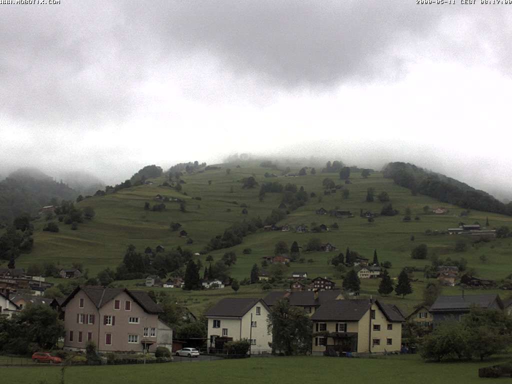 Grabs: Margelkopf