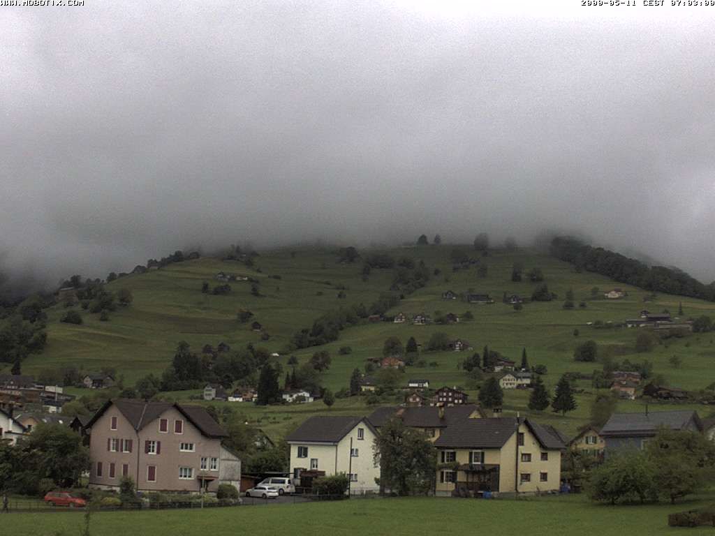 Grabs: Margelkopf