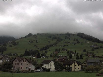 Grabs: Margelkopf