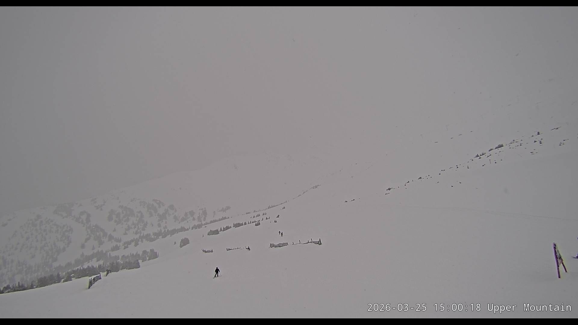 Traffic Cam Jasper › South: Marmot Basin