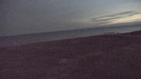 Kampen: Livespotting - Sylt