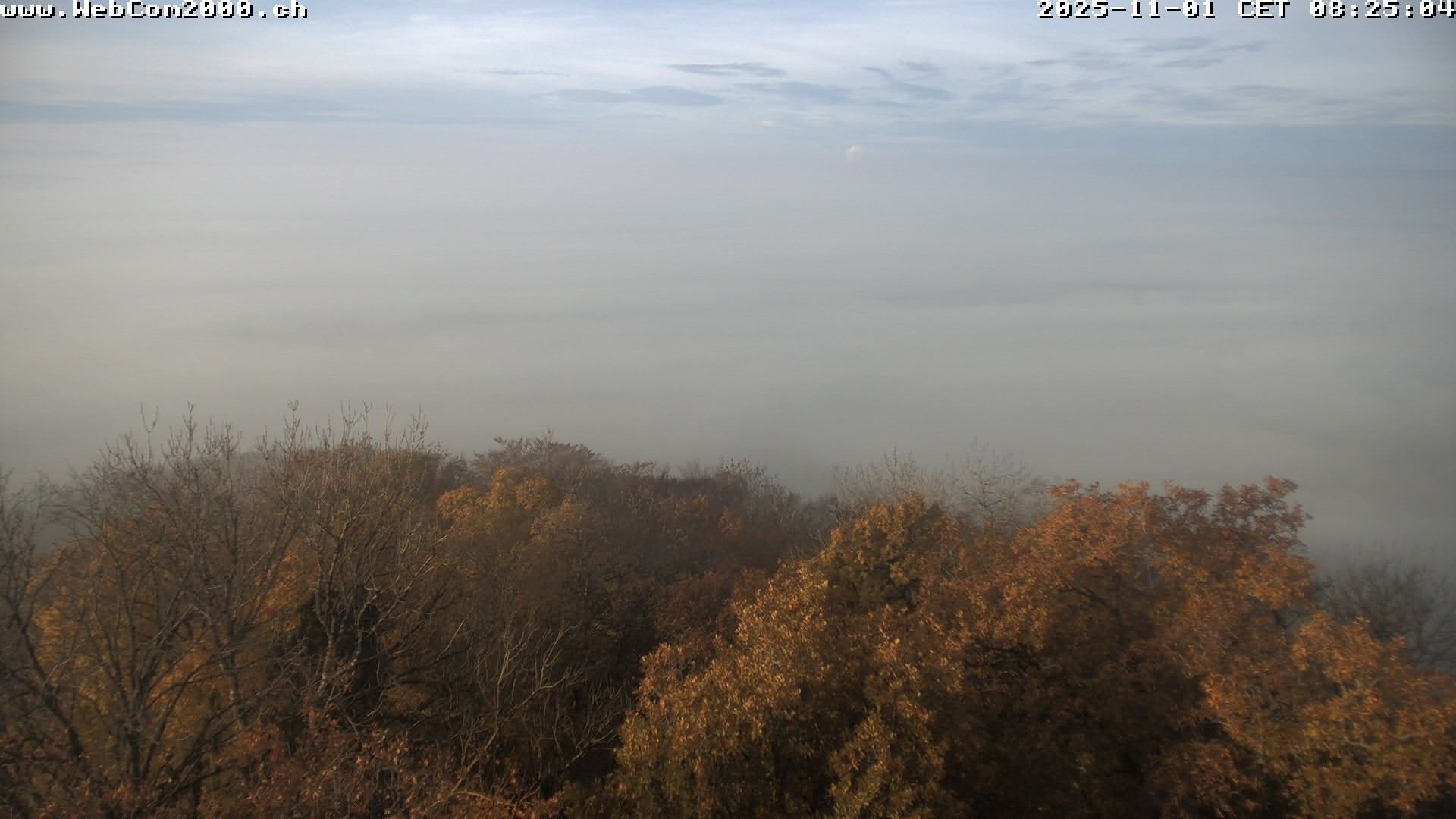 Siblingen › Süd-West