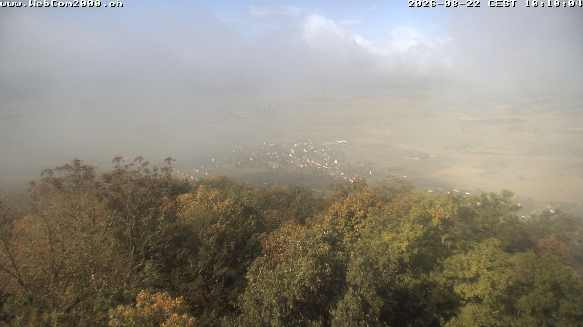 Siblingen › Südwesten