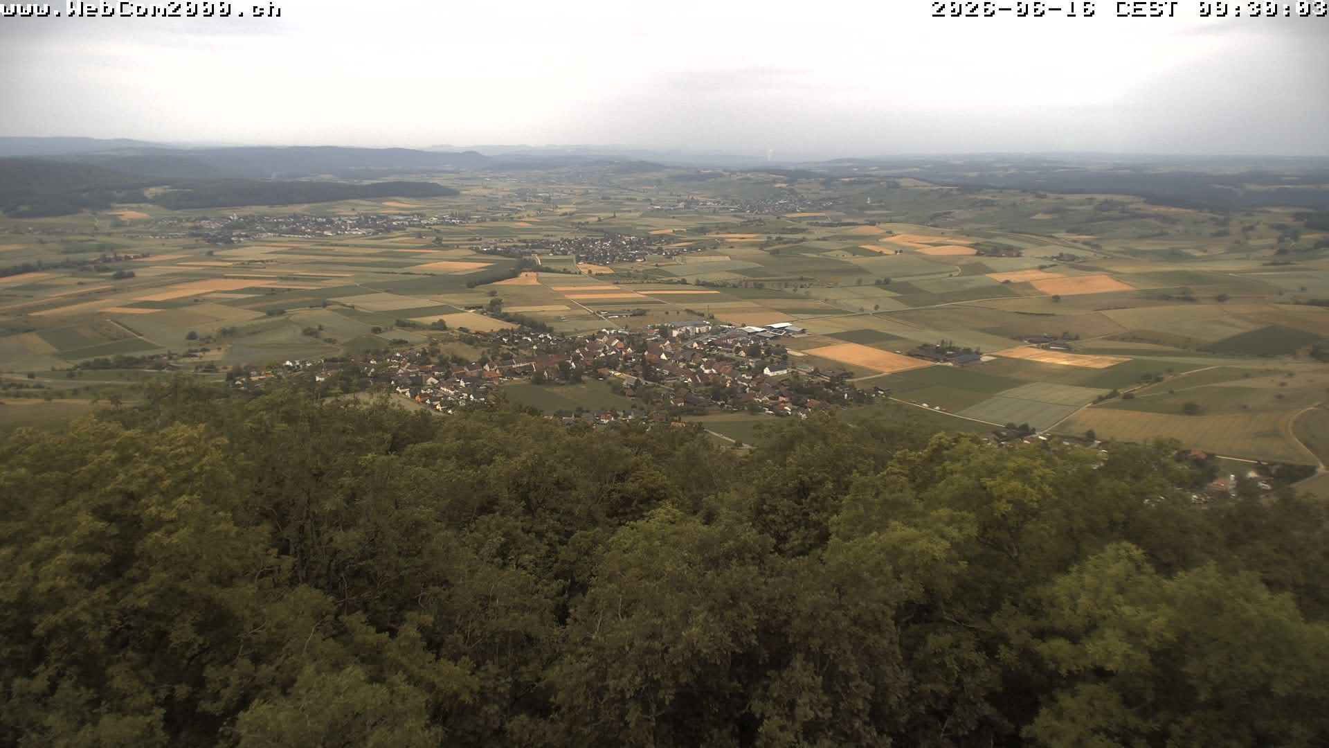 Siblingen › Südwesten