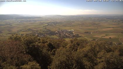 Siblingen › Süd-West