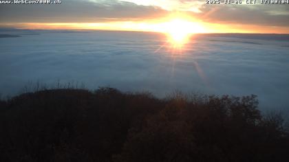 Siblingen › Süd-West