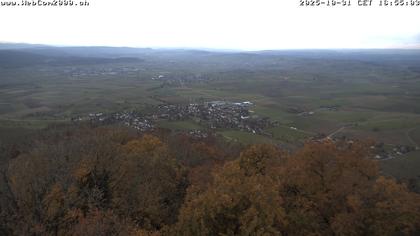 Siblingen › Süd-West