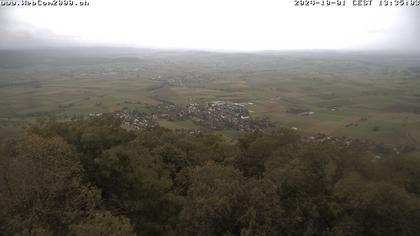 Siblingen › Süd-West