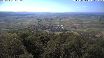 Siblingen › Süd-West