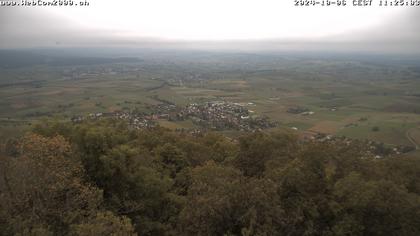 Siblingen › Süd-West