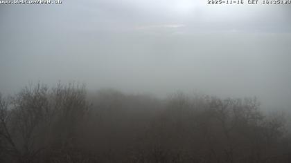 Siblingen › Südwesten