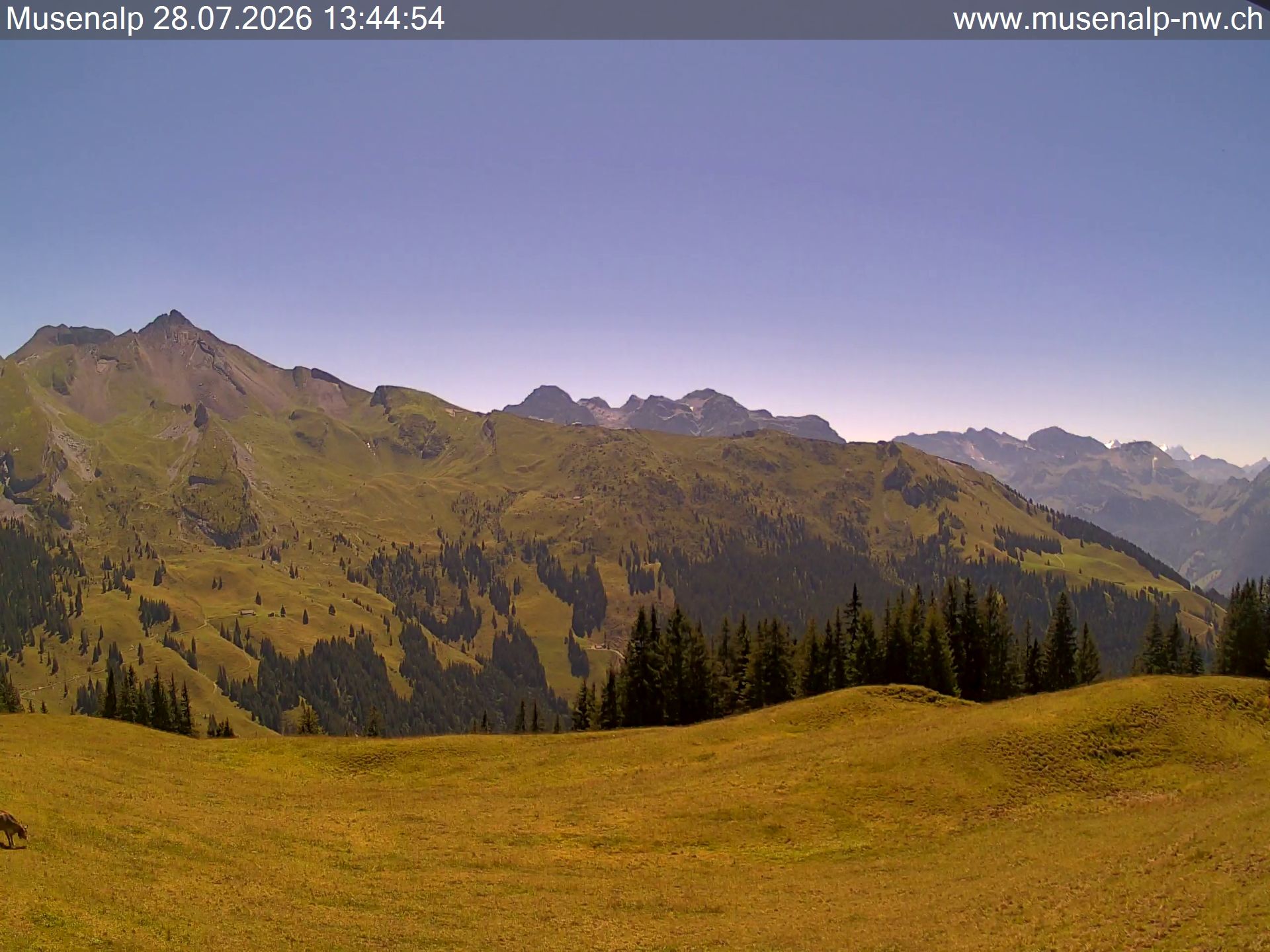 Oberdorf: Mühlematt › Süden
