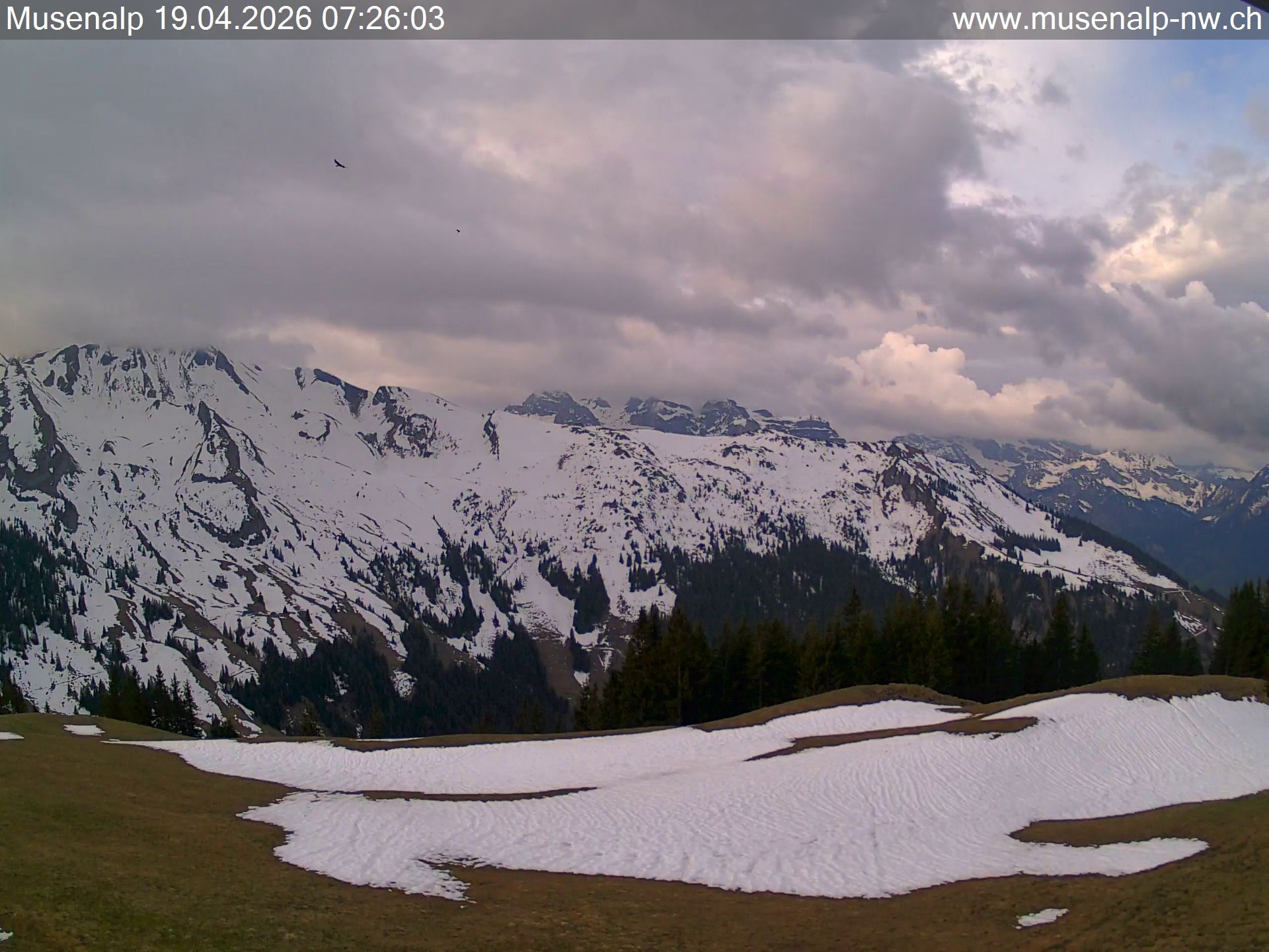 Oberdorf: Mühlematt › Süden