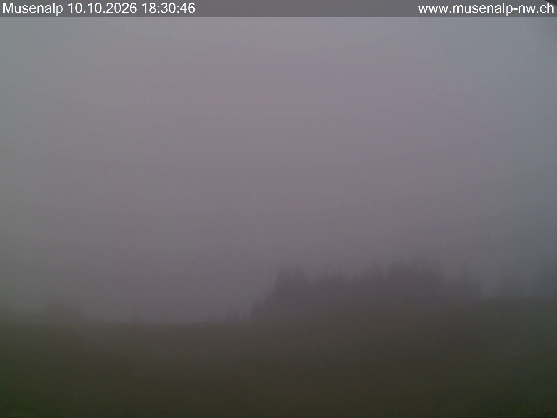 Oberdorf: Mühlematt › Süden