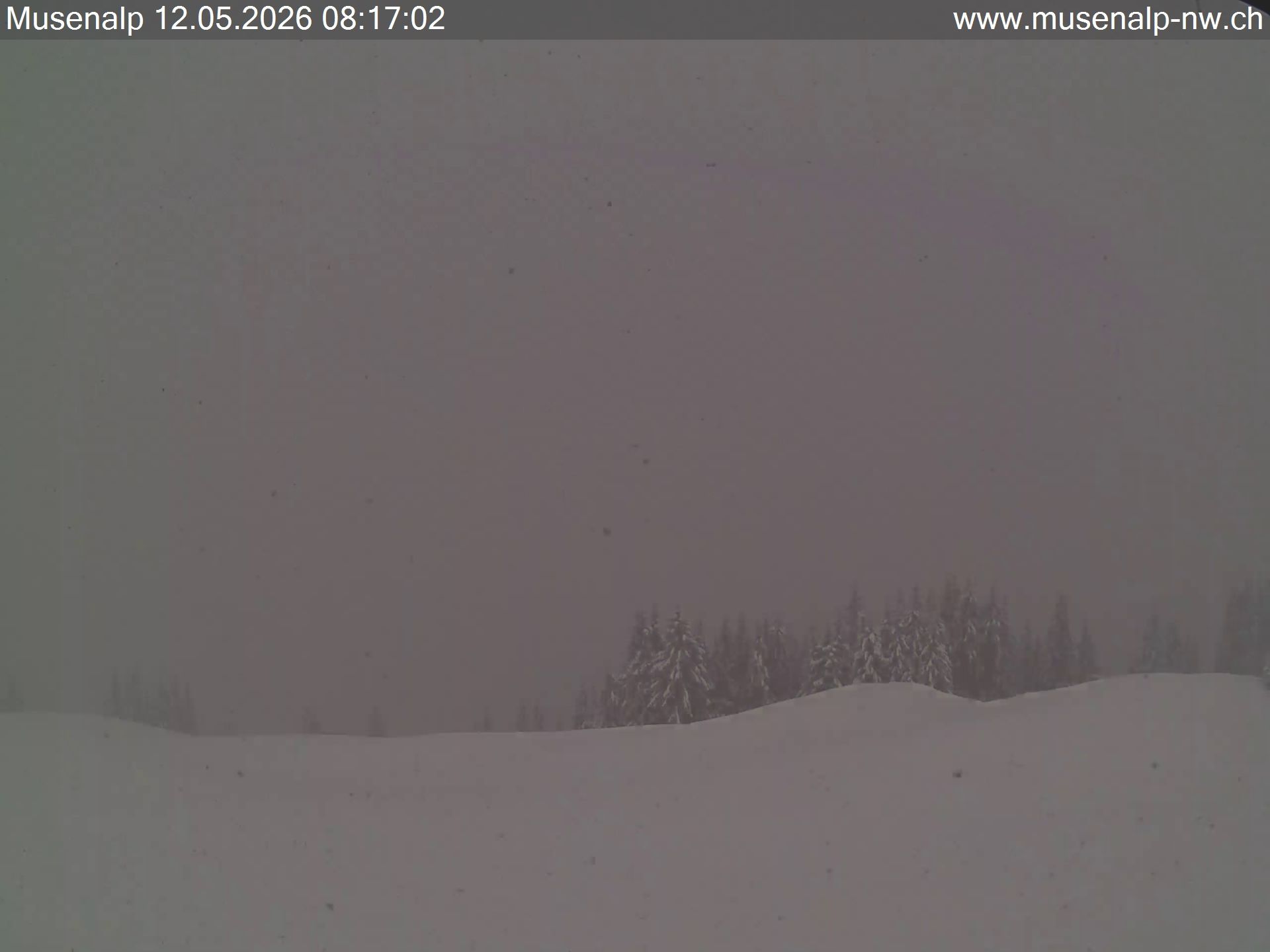 Oberdorf: Mühlematt › Süden