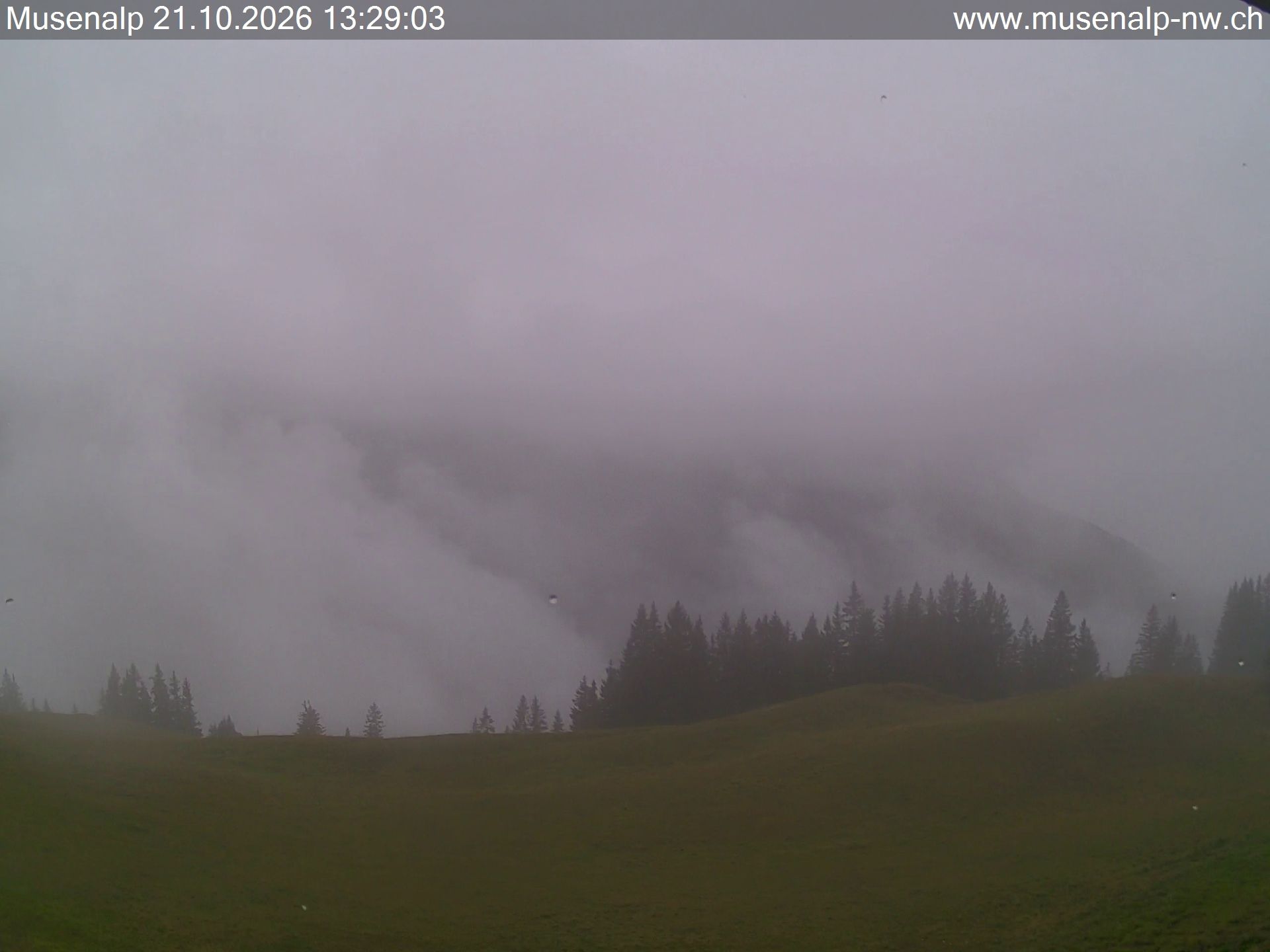 Oberdorf: Mühlematt › Süden