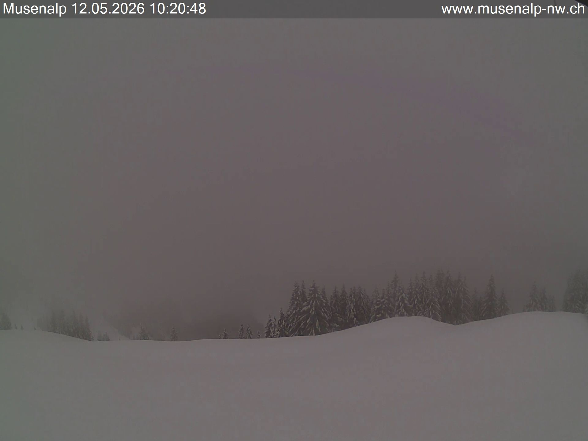 Oberdorf: Mühlematt › Süden