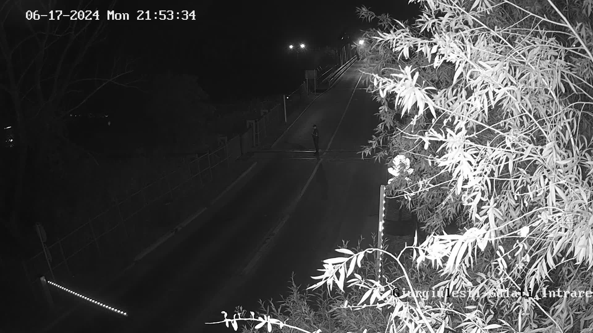Traffic Cam Giurgiulesti