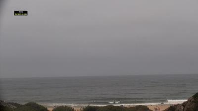 Almargem hoje