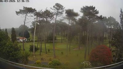 Pontevedra today