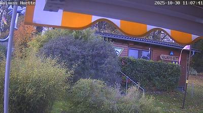 Bad Harzburg Daglicht Webcam Image Bad Harzburg Daglicht Webcam Image