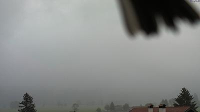Tageslicht webcam ansicht von Hohenschwangau › South East: Neuschwanstein Castle