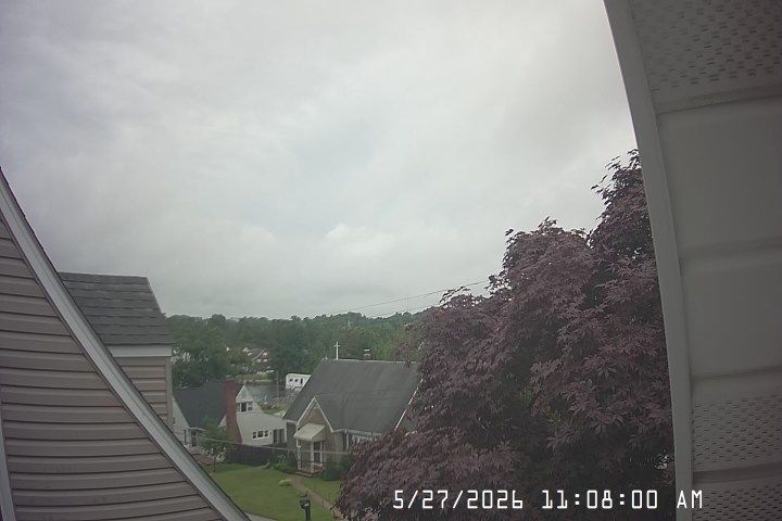 Baltimore webcam