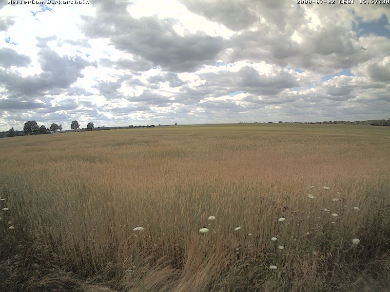 Traffic Cam Wurzen: Wetterstation Wurzen OT Burkartshain