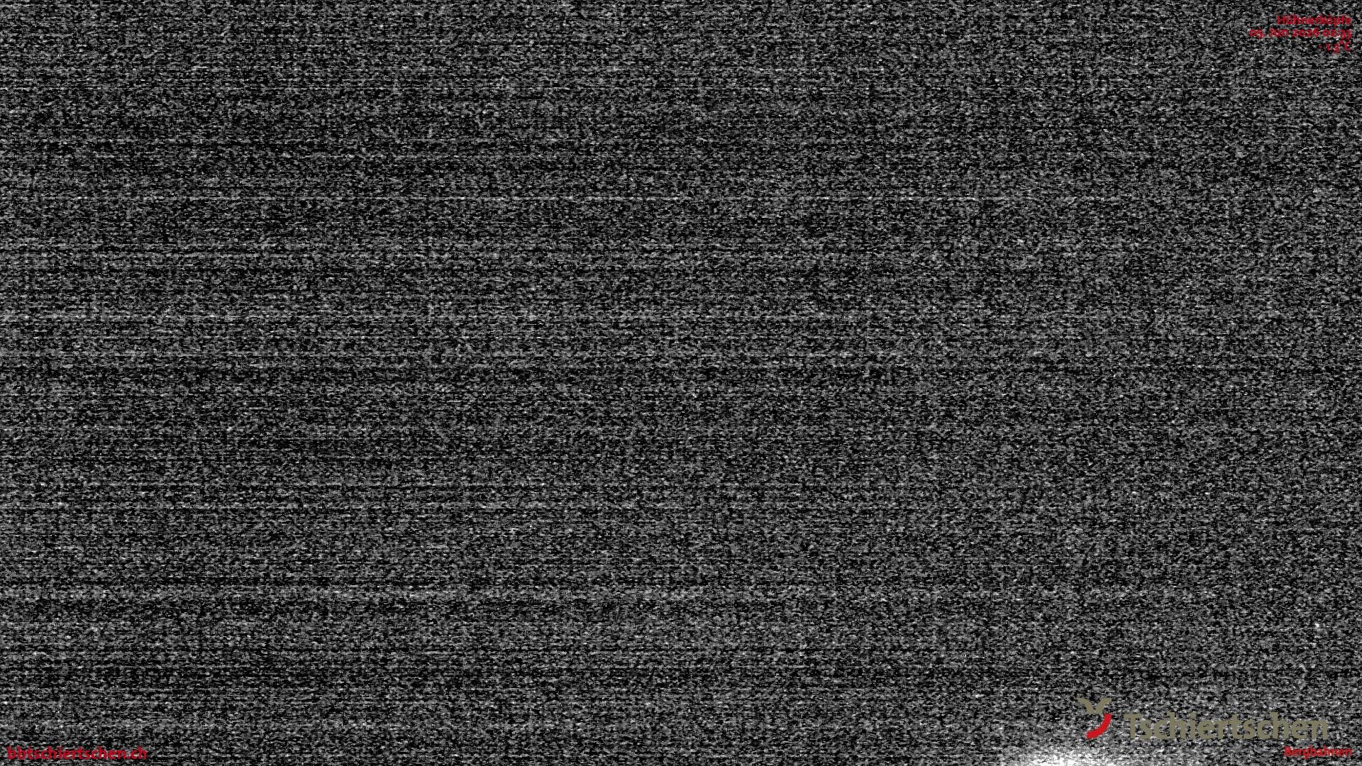 Tschiertschen: Gürgaletsch Black Jack