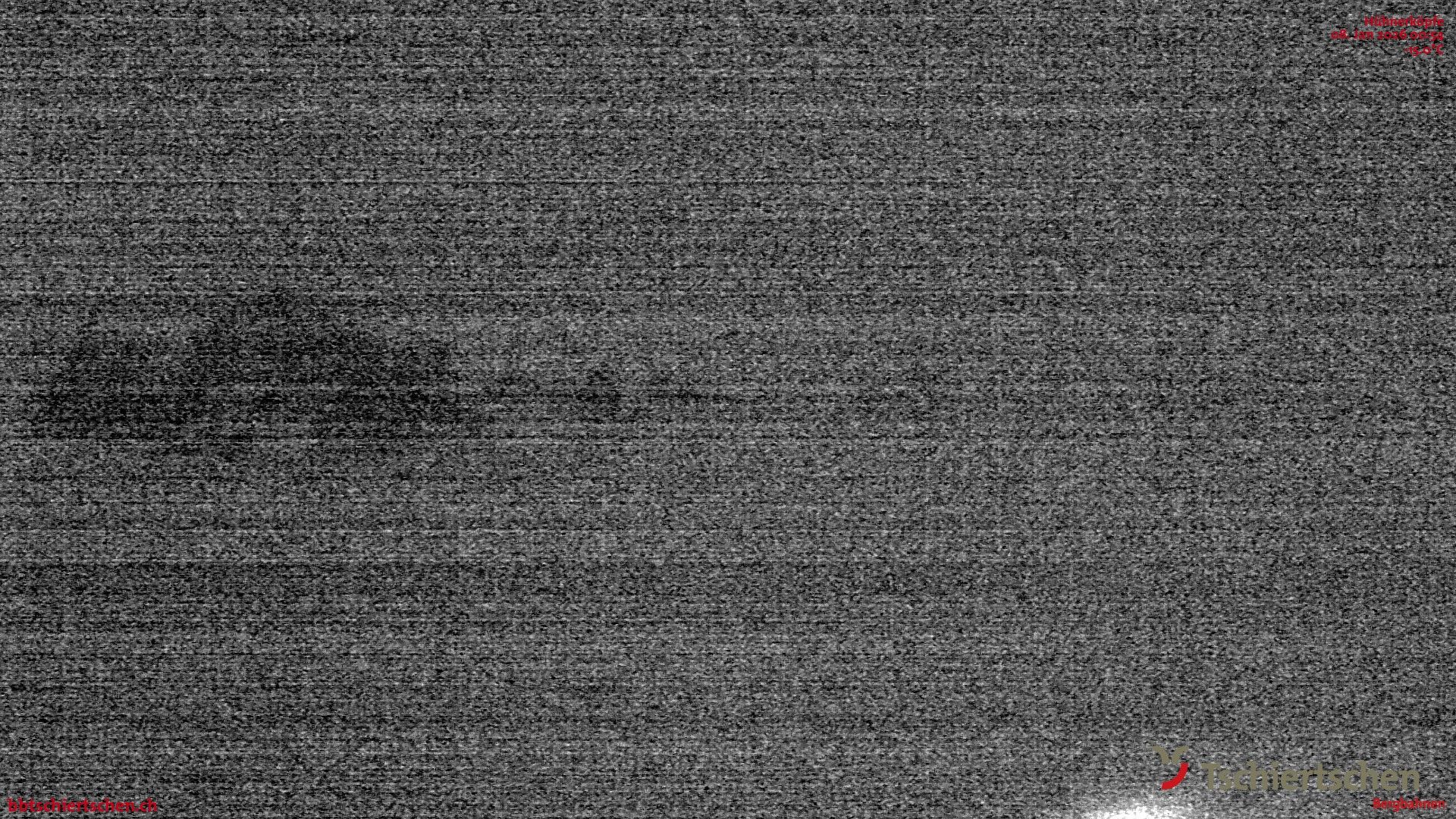 Tschiertschen: Gürgaletsch Black Jack