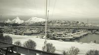 Sandnessjøen: Sandnessjøen båtforening
