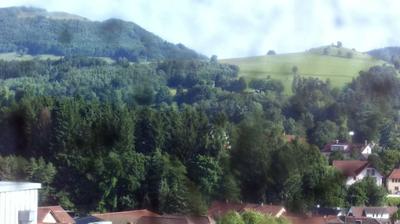Backtrog forest webcam