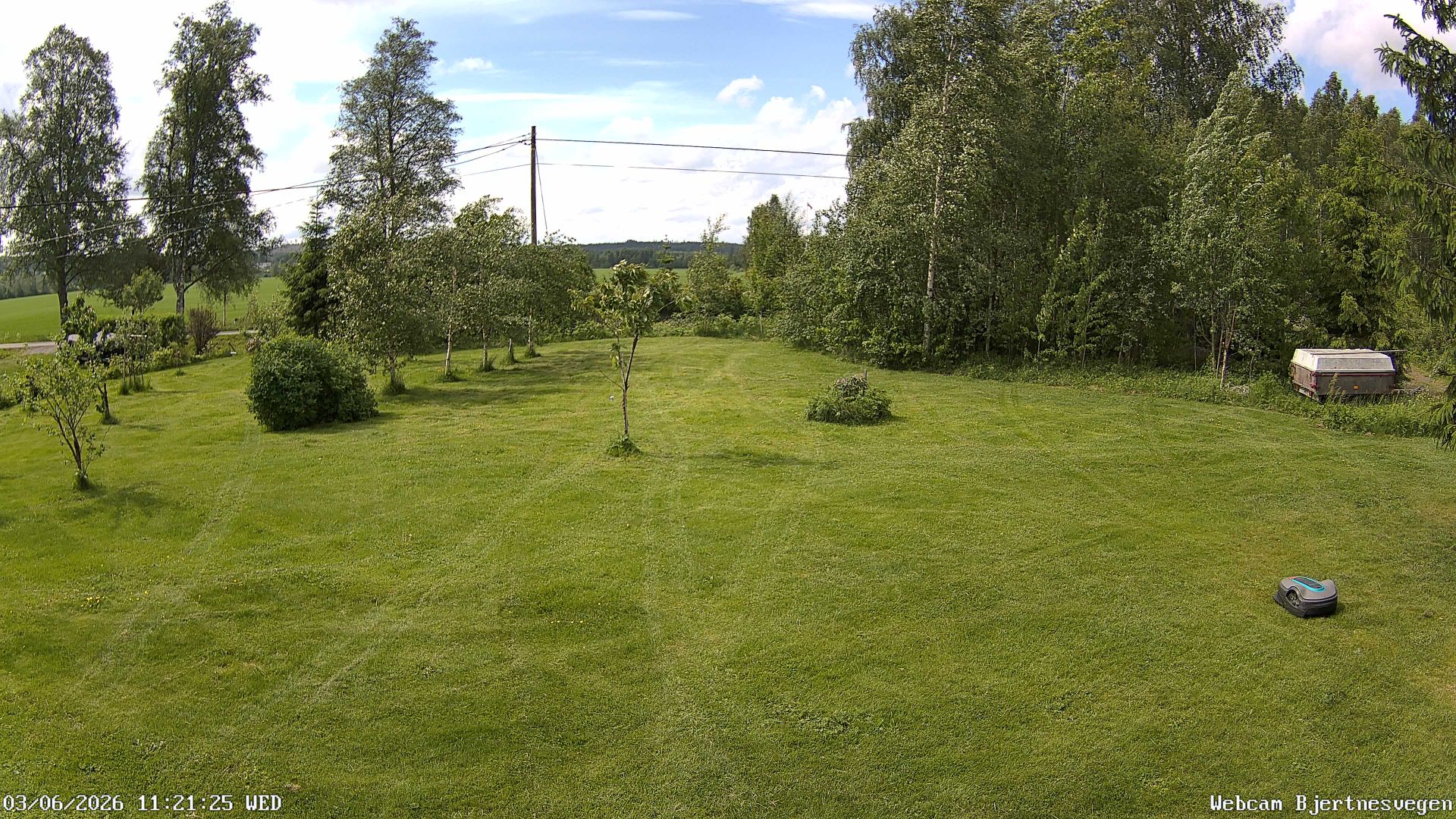 Skogrand webkamera