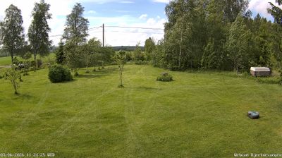 Skogrand i dag