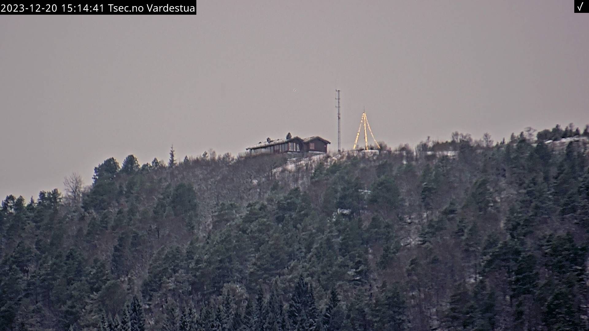 Traffic Cam Molde