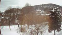 Krynica: Czarny Potok