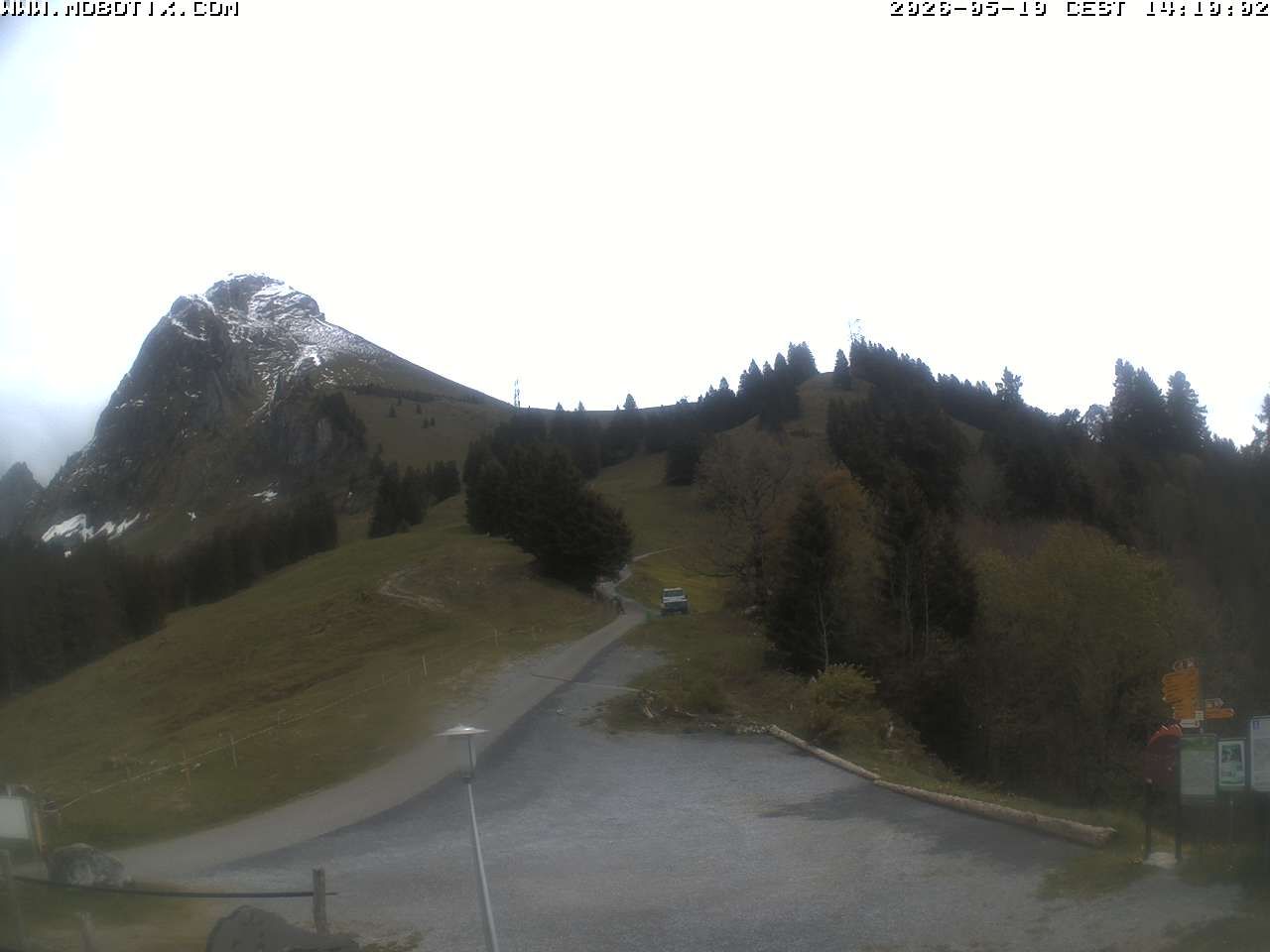 Mollis › Südosten: Fronalpstock