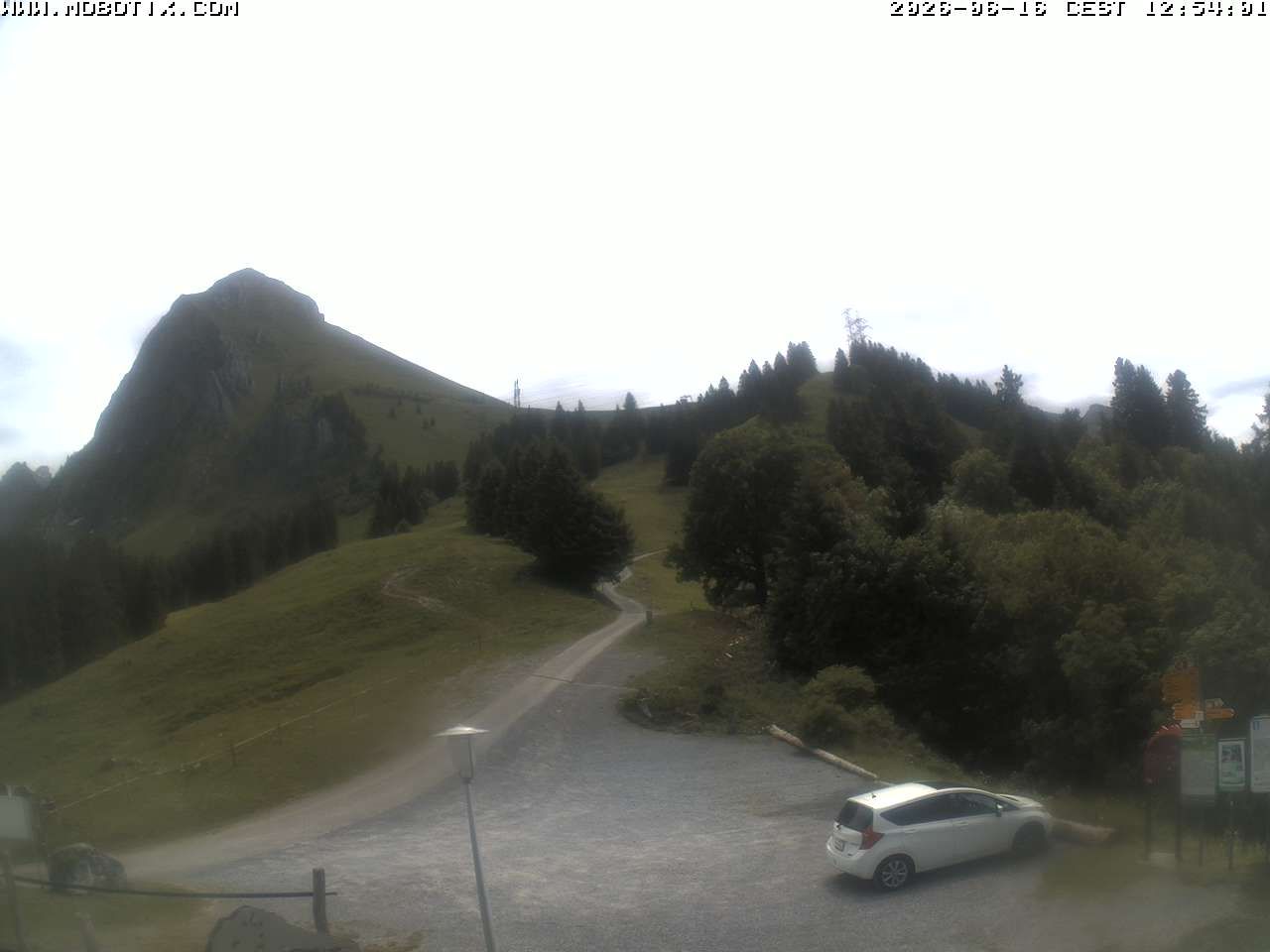 Mollis › Südosten: Fronalpstock