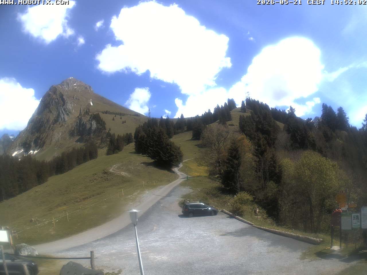 Mollis › Südosten: Fronalpstock