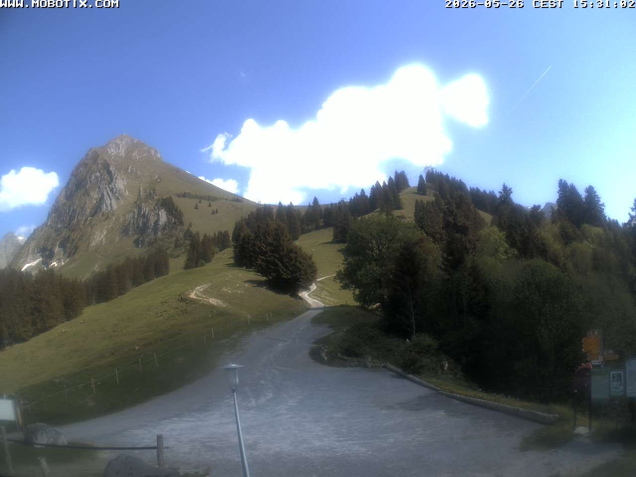 Mollis › Südosten: Fronalpstock
