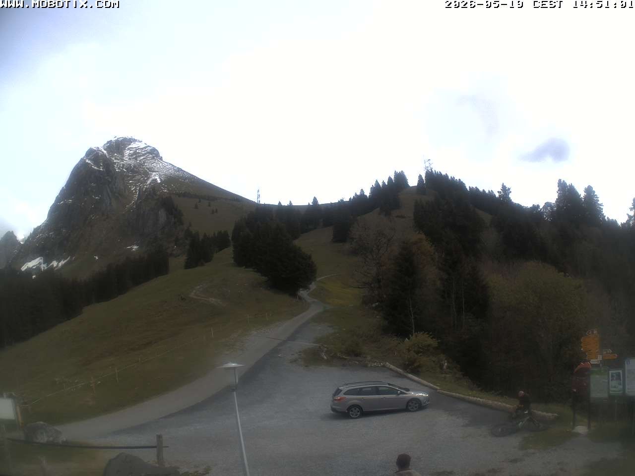 Mollis › Südosten: Fronalpstock