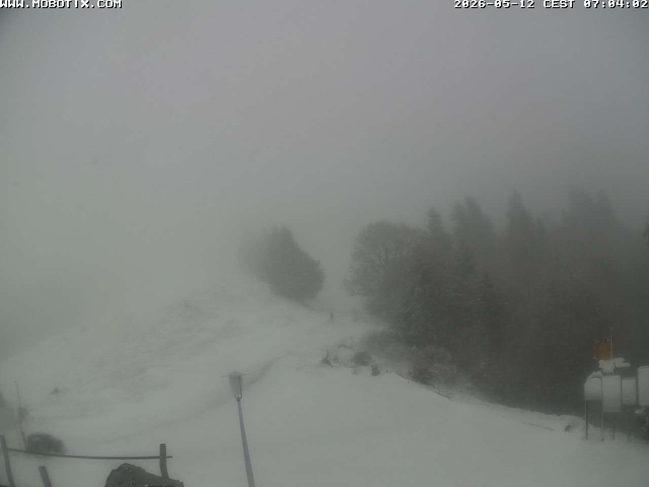 Mollis: Naturfreundehaus Fronalp, Skigebiet Schilt oberhalb - Glarnerland, Schweiz
