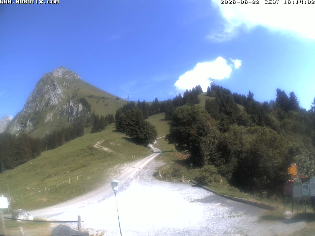 Mollis › Südosten: Fronalpstock